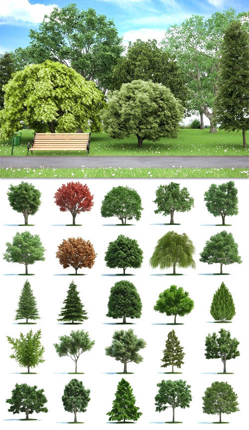 Evermotion Archmodels Vol 58 - Realistic Trees