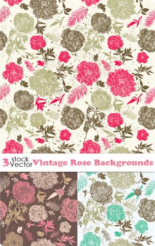 Vintage Rose Backgrounds Vector