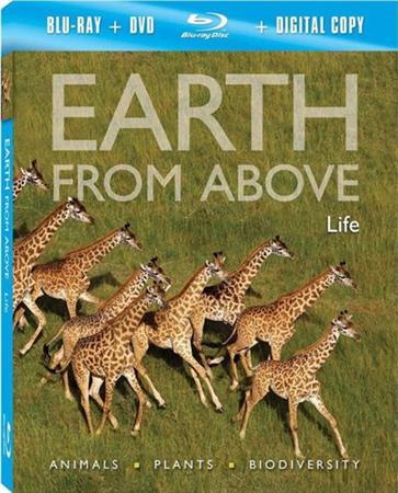 ,  :  / Earth From Above: Life (2004) HDRip