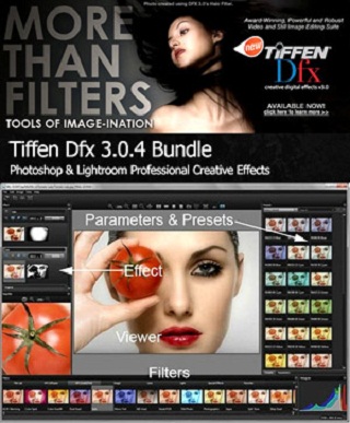 Tiffen Dfx Plugins Bundle v.3.0.4 (x86/x64)