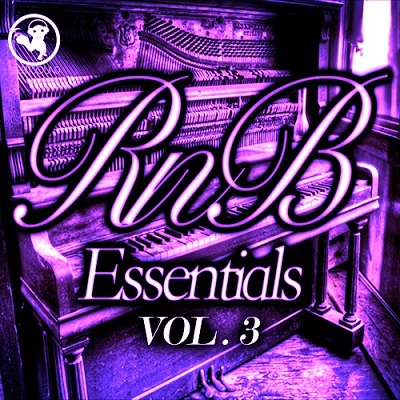 The Hit Sound RnB Essentials 3 WAV (fsn & wupload)