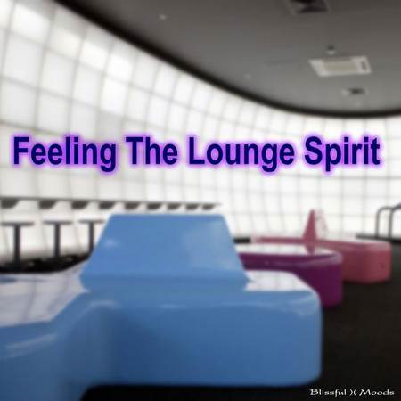 VA - Feeling The Lounge Spirit (2011)