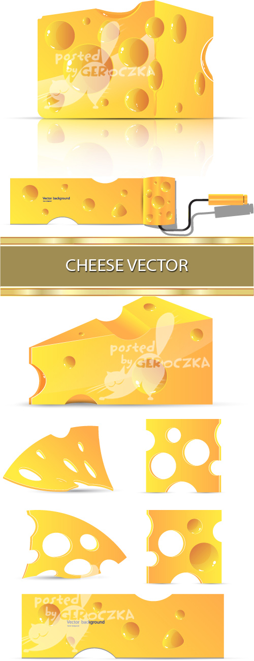 Cheese vector