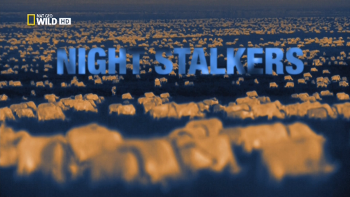  .   / Night Stalkers. Hyenas [2011 ., , HDTV 1080i]