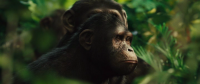Восстание планеты обезьян / Rise of the Planet of the Apes (2011/HDRip)