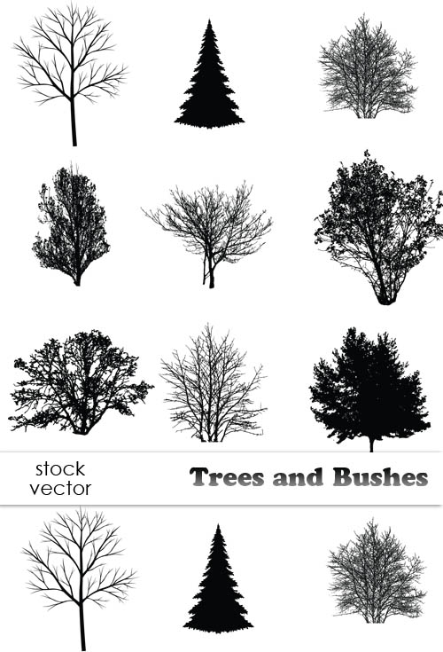 Vectors Trees & Bushes