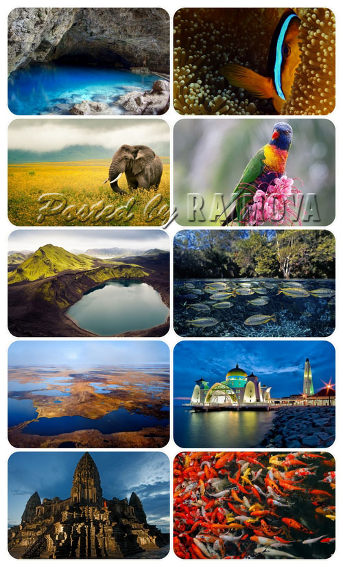National Geographic Wallpaper Pack4