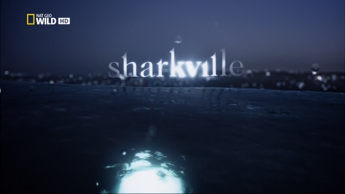  -2 (5 ) / Shark Week -2 (5 episodes) [2002-2010.., , HDTV 1080i] Sharkville / Secret Shark Pits / Shark Island / Shark Eden / Shark Attack.The Red Triangle (RUS,ENG)