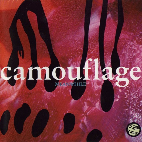 Camouflage - Meanwhile (1991) Mp3 + Lossless