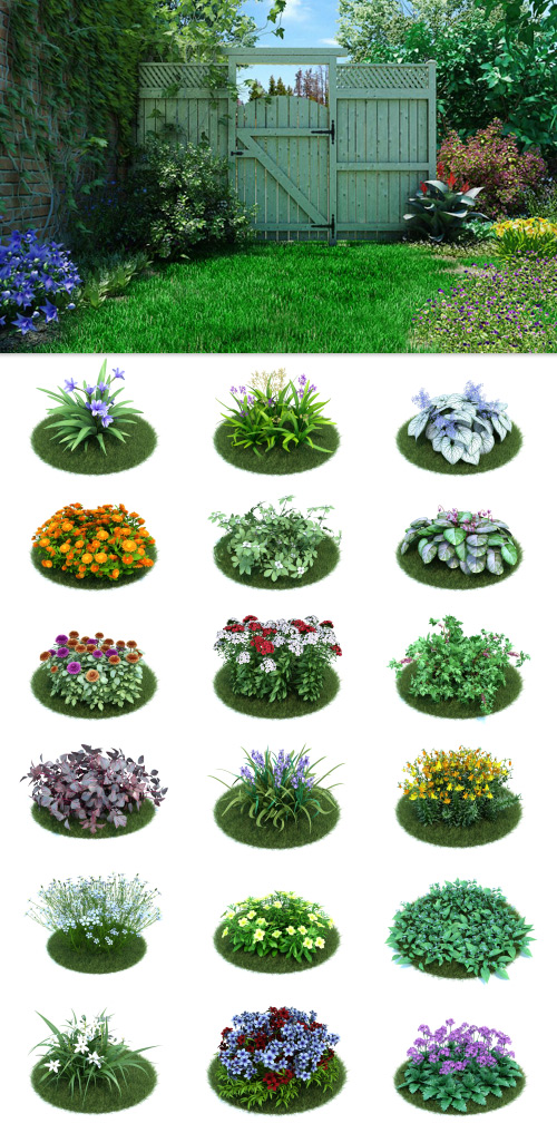 Evermotion Archmodels Vol 86 - Garden Plants