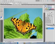 Adobe Photoshop CS5.  1.     (2011)