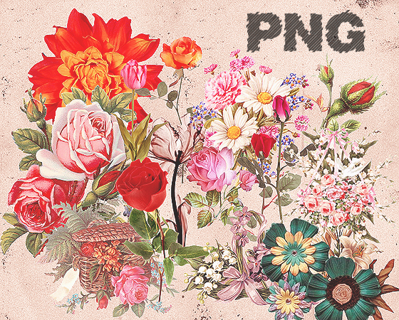 PNG Flowers