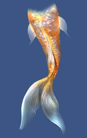 Mermaid tail