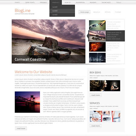 Dreamtemplate Blogbox CSS template