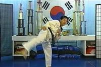  -     / Taekwondo (DVDRip)