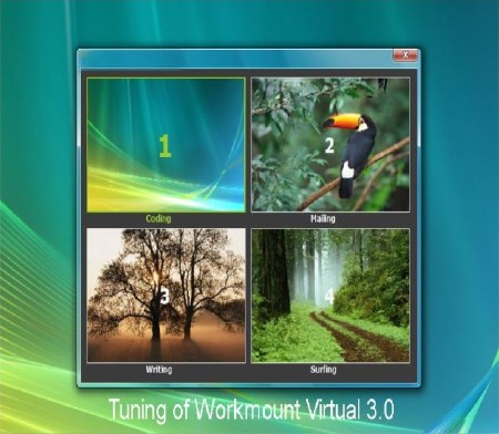 Tuning of Workmount Virtual 3.0