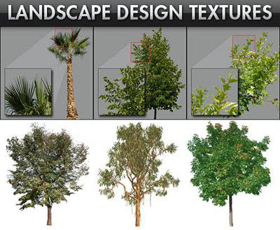 Landscape Design Tree Textures