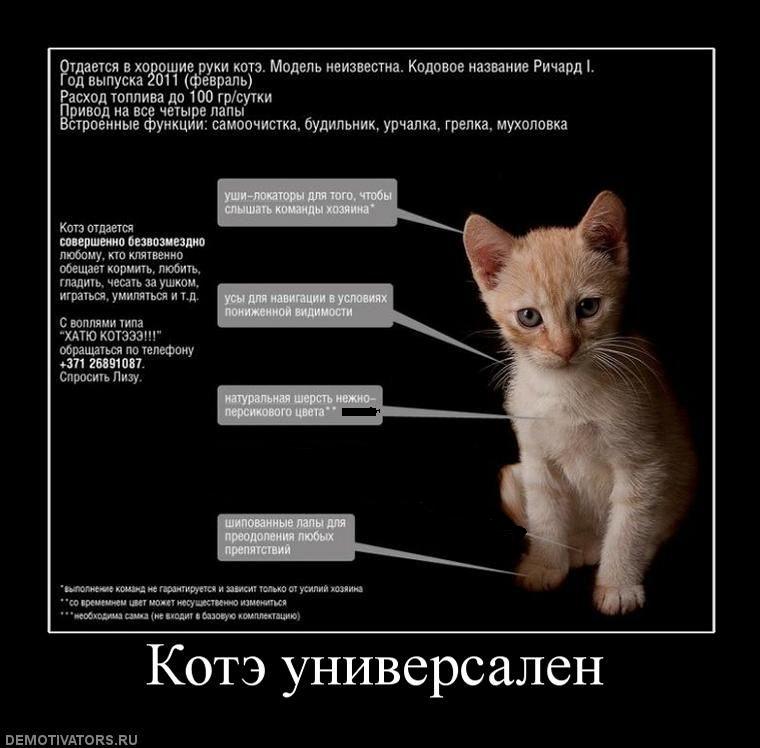 http://i29.fastpic.ru/big/2011/1224/df/ca60a609eb8ca1a934d0def4de35eedf.jpg