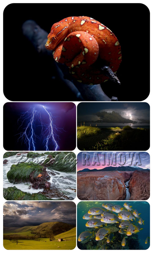 National Geographic Wallpaper Pack 9
