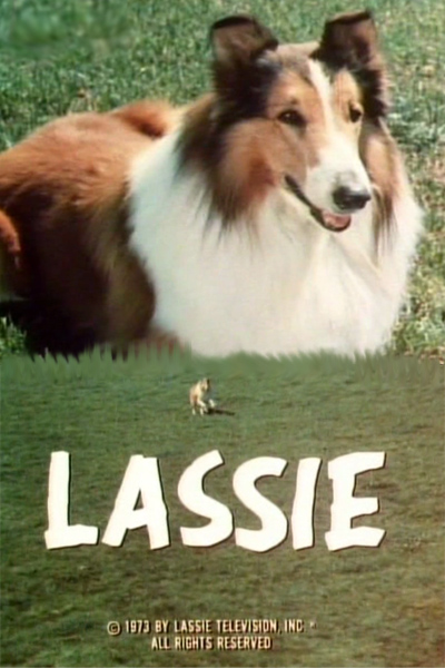     / Lassie: The Adventures of Neeka ( .,   / Jack B. Hively, Dick Moder) [1968, , , , TVRip] MVO