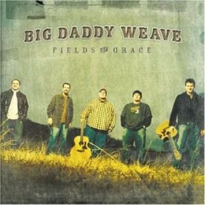 Big Daddy Weave - Fields of Grace (2003)