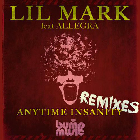 Lil Mark ft Allegra Bandy - Anytime Insanity (Remixes) (2012) 
