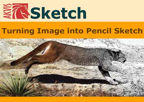 AKVIS Sketch 13.0.2468.8432 for Adobe Photoshop