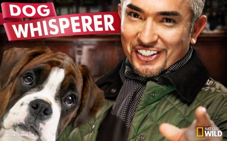 Dog Whisperer S08E06 PDTV XviD-CRiMSON