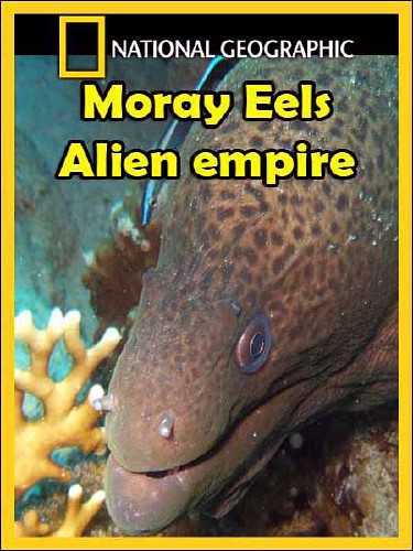 .   / Moray Eels. Alien empire (2010) HDTVRip