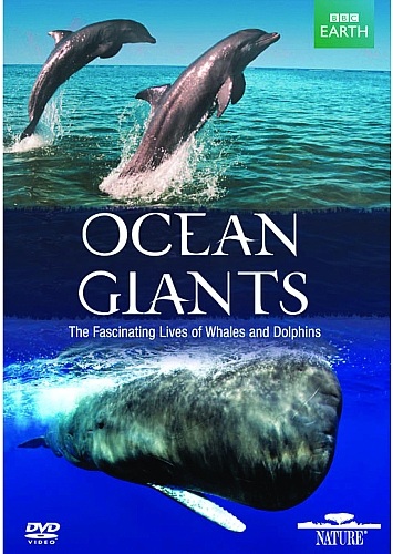 PBS - Nature S30E09 Ocean Giants: Deep Thinkers (2012) HDTV 480p x264 - mSD