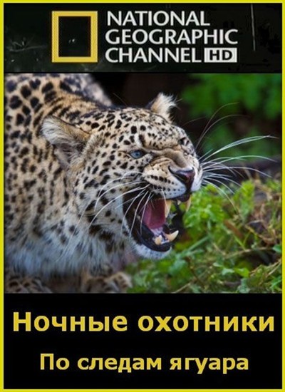  .    / Night Stalkers. Jaguar Ambush (2011) HDTV