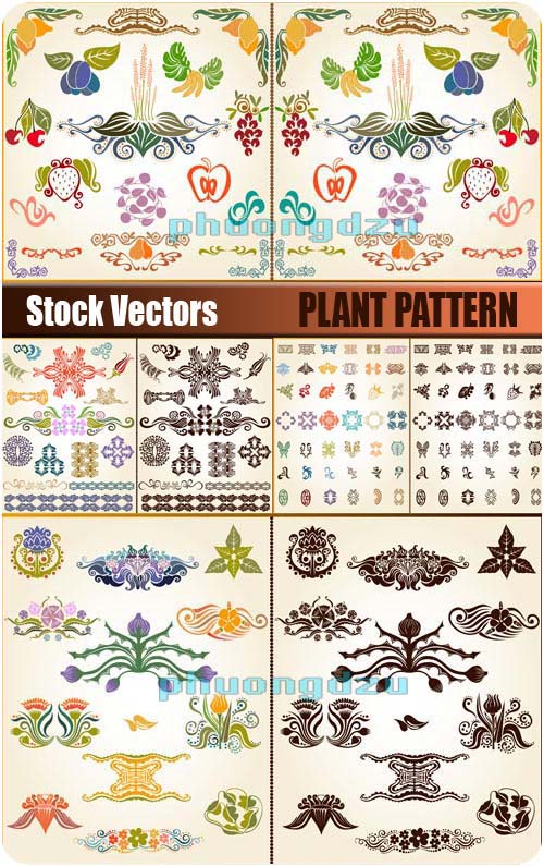 Plant pattern Vector