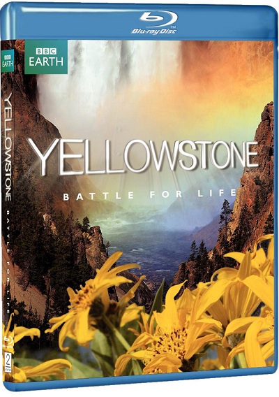'Yellowstone