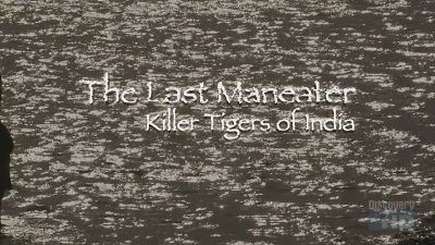 Discovery Channel - The Last Maneater: Killer Tigers of India (2004) HDTV x264 720p AC3-MVGroup