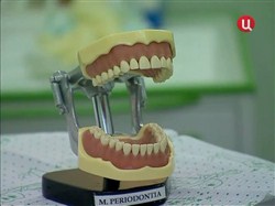 Взрослые люди - Проблемы с зубами (2012 / TVRip)
