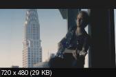 Shinedown - Видеография (VOB)