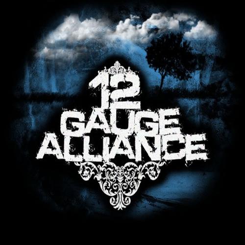 12 Gauge Alliance - Conspire To Conclude (2008)
