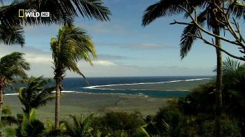 , ,  / Islands Fiji, Galapagos, Zanzibar (2011) HDTVRip 720p